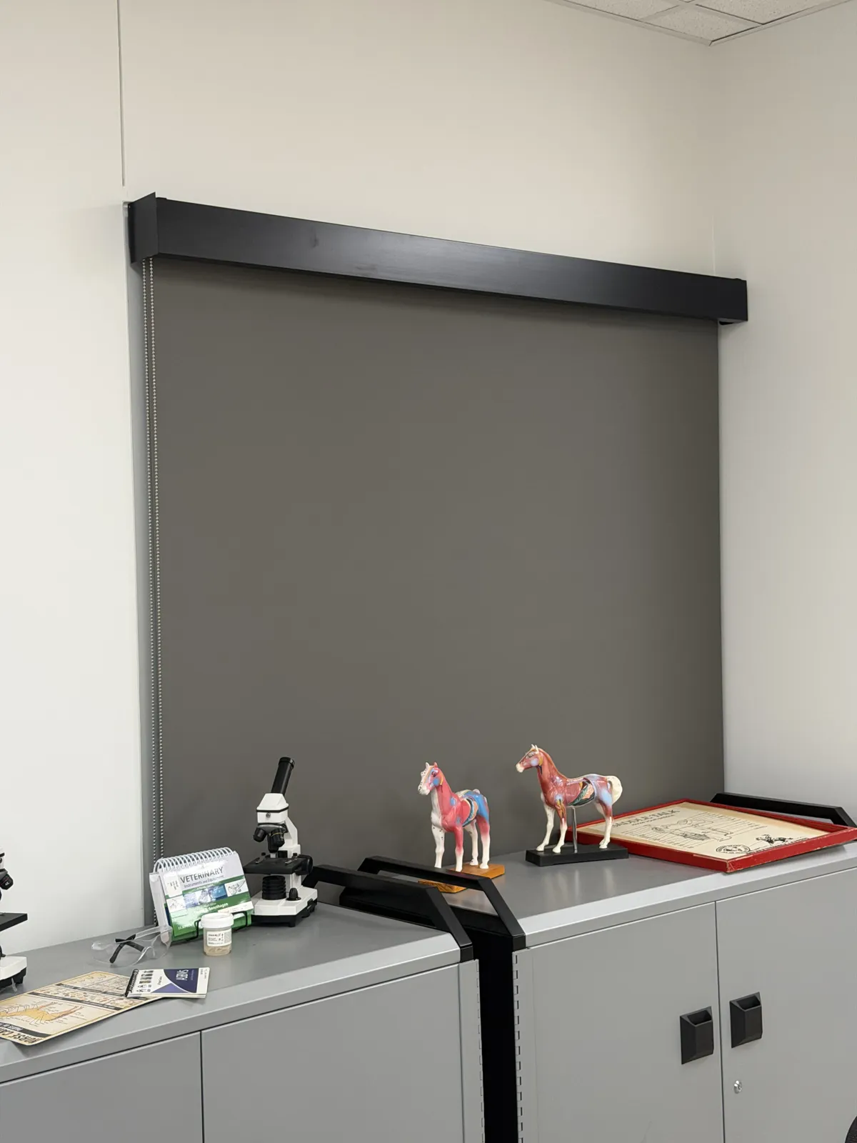 Dark blackout shade fully closed over an office window